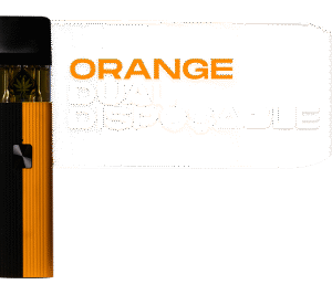 ORANGE DUAL DISPOSABLES